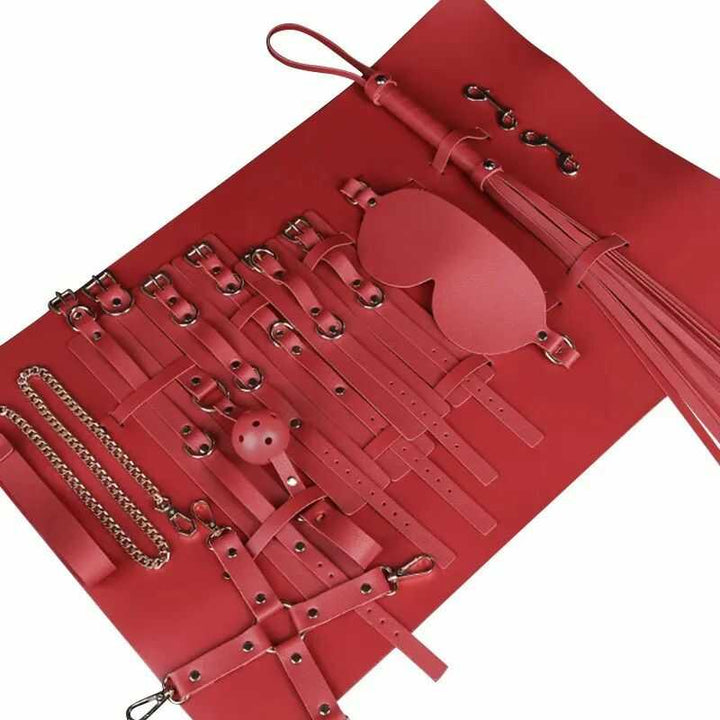 Sexspielzeugbox für die Reise