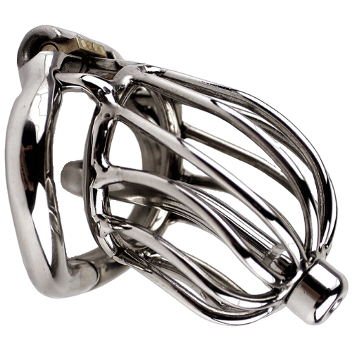 Peniskäfig mit Harnröhrenkatheter - The chrome ball S - Peniskäfig.de
