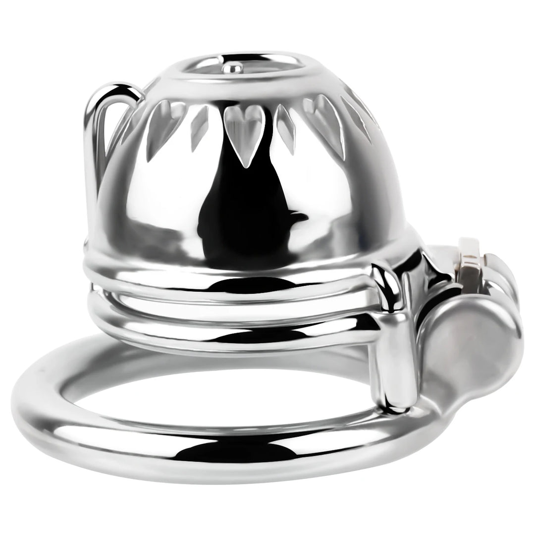 Keuschheitskäfig für PA-Piercing FRRK-3229