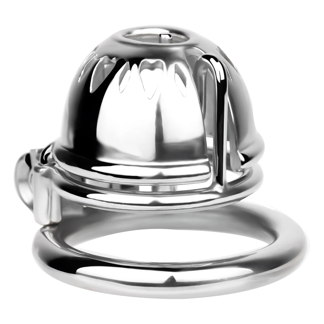 Keuschheitskäfig für PA-Piercing FRRK-3229