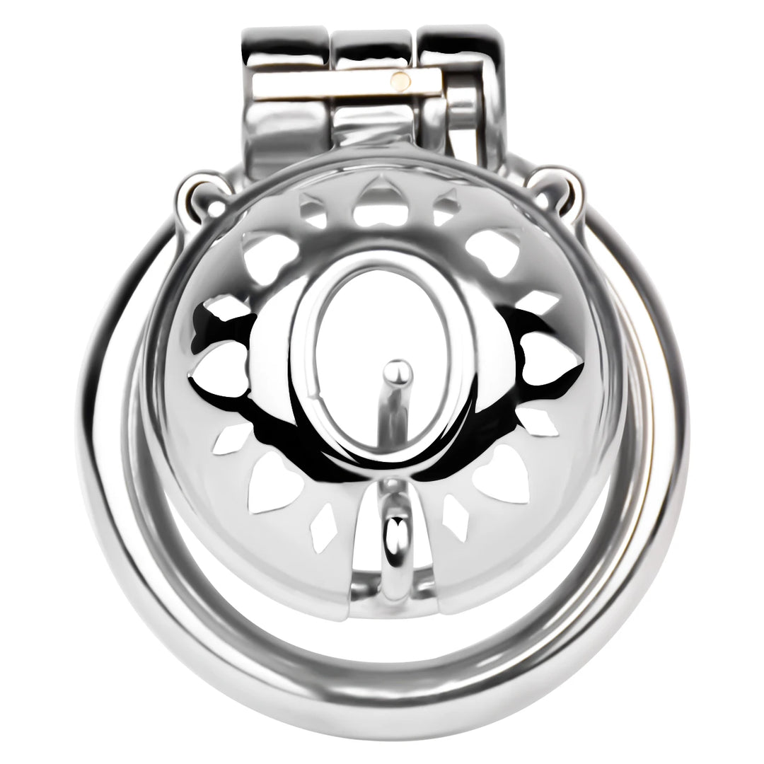Keuschheitskäfig für PA-Piercing FRRK-3229