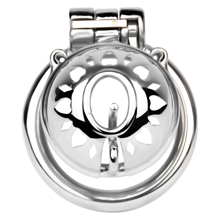 Keuschheitskäfig für PA-Piercing FRRK-3229
