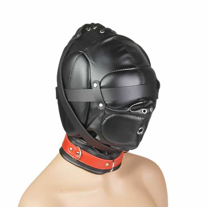 Sensorische SM-Haube