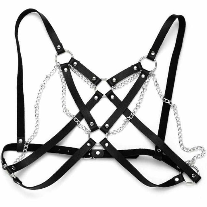 elegantes Ledergeschirr für Damen