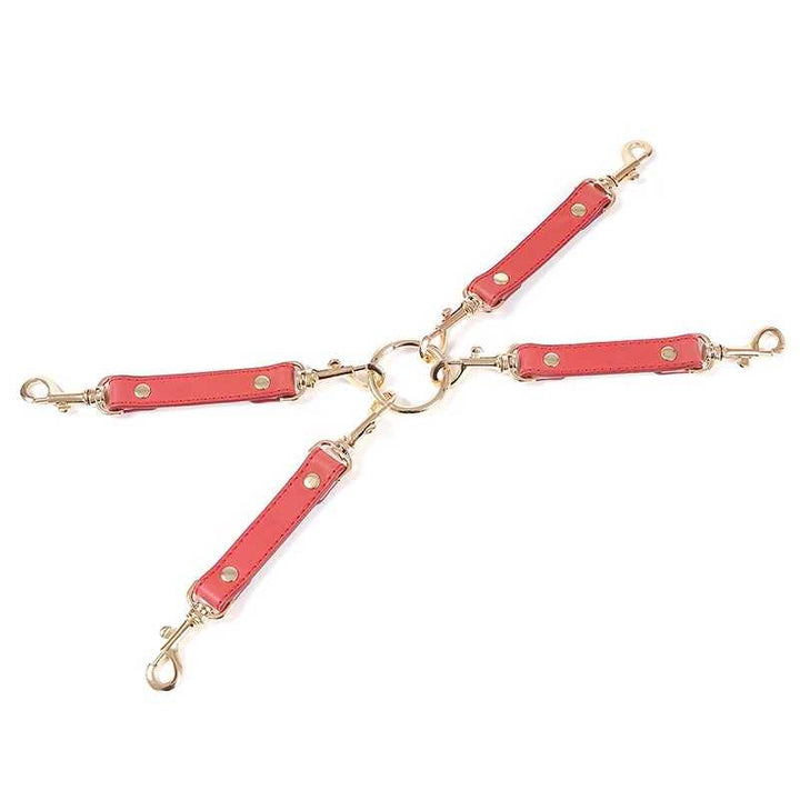 Premium-Bdsm-Kit69