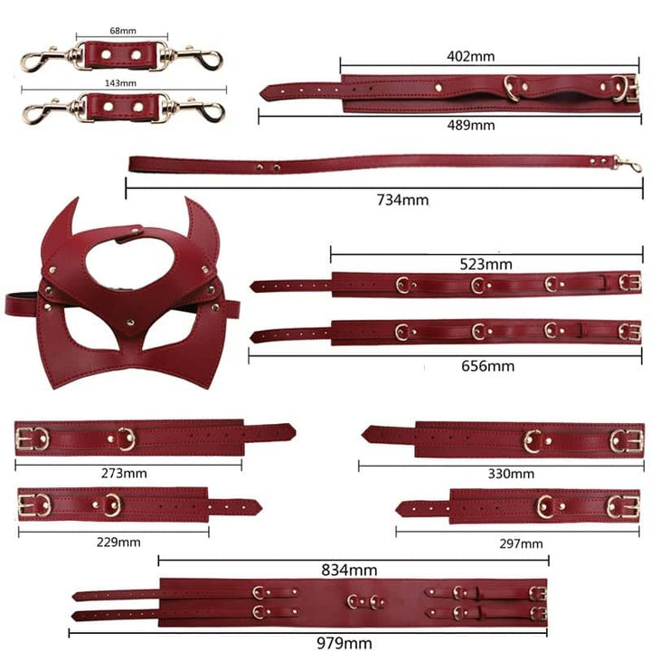 Anfänger-Bdsm-Kit86