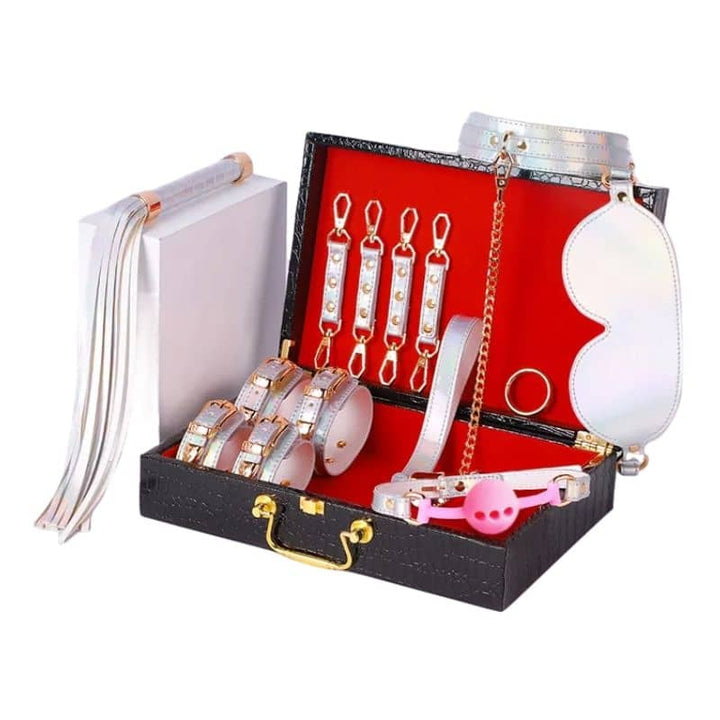 Glänzendes Bdsm-Kit