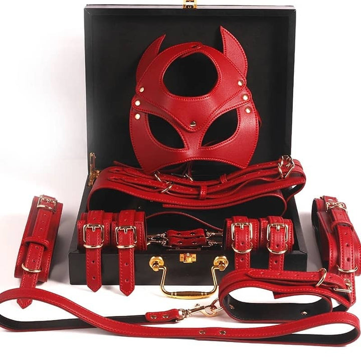 Anfänger-Bdsm-Kit103