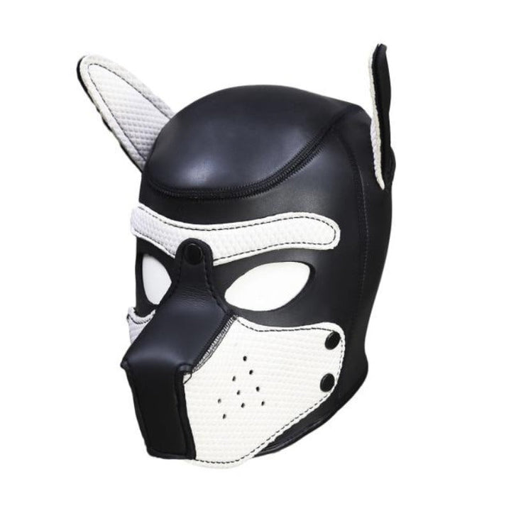 Originales Hundezubehör
