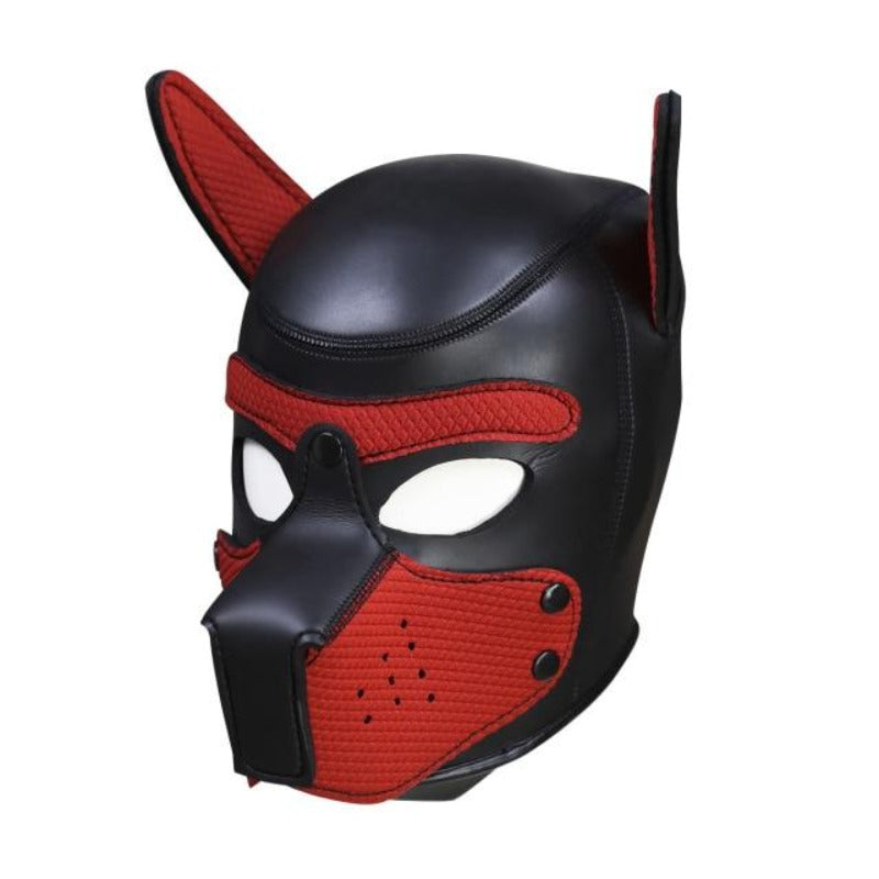 Stylische Hundemaske