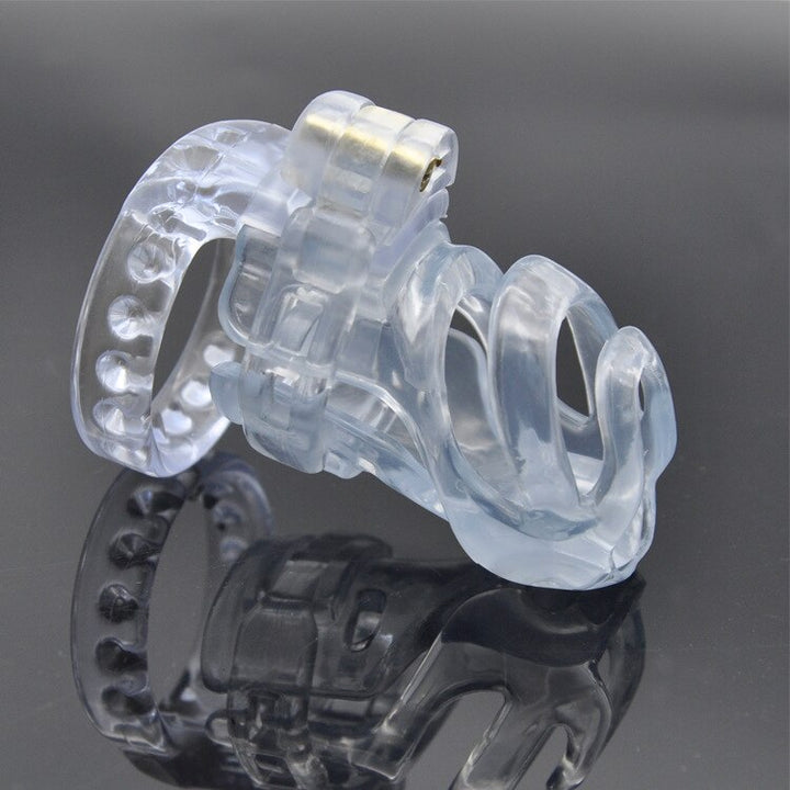 Fürst Albert Piercing Keuschheits-Käfig - PA 100 Transparent