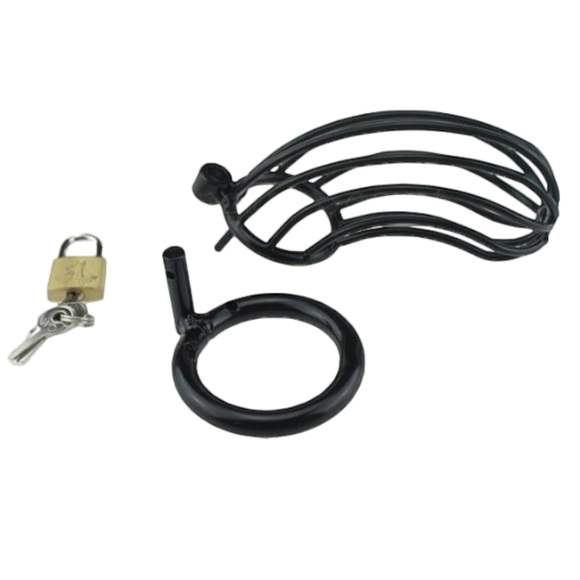 Cockring - Keuschheitskäfig I bis Schwarz - Peniskäfig.de